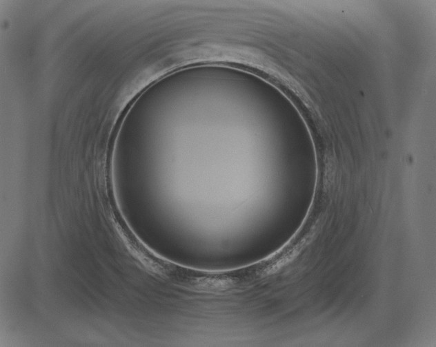 X0000083621513200702121127