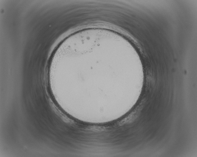 X0000083621514200702121127