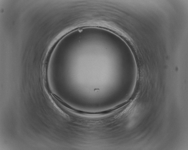 X0000083621517200702121127