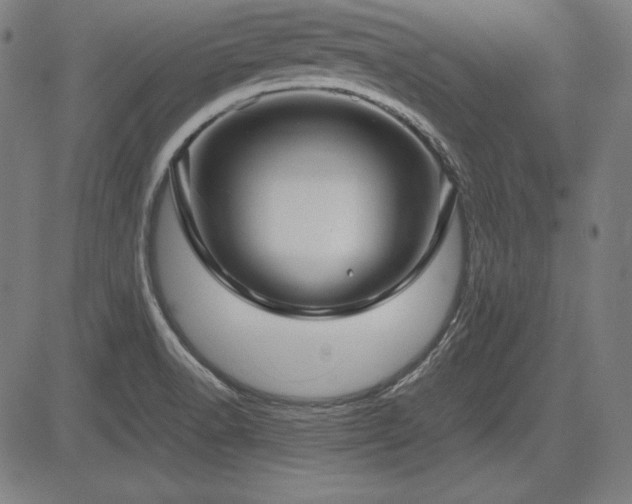 X0000083621518200702121127