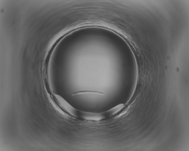 X0000083621519200702121127