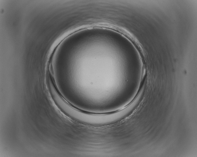 X0000083621520200702121127