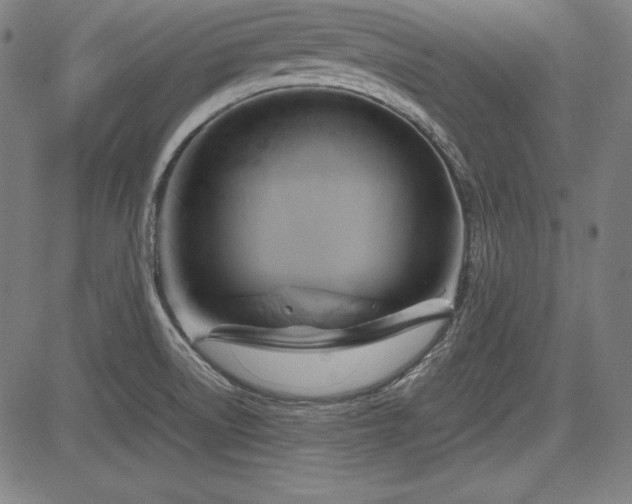 X0000083621522200702121127