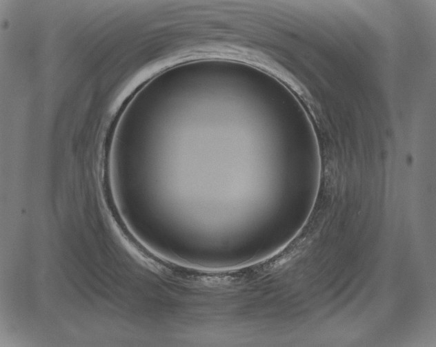 X0000083621523200702121127