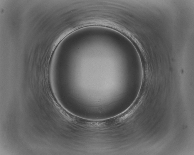 X0000083621529200702121127