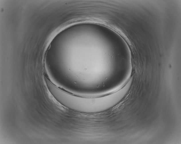 X0000083621532200702121127