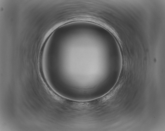 X0000083621533200702121128