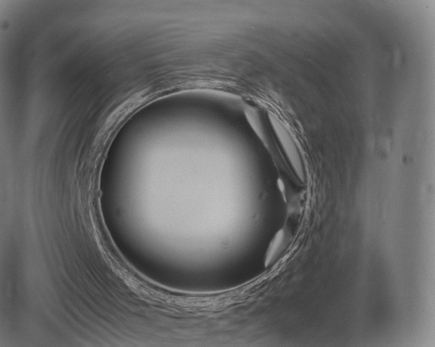 X0000083620001200702201328