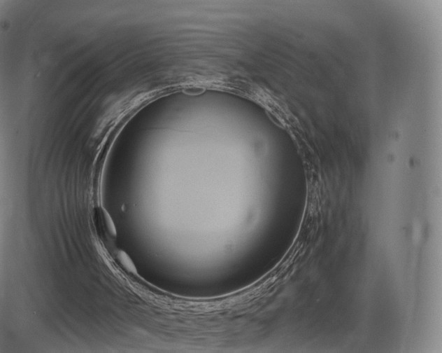 X0000083620002200702201328