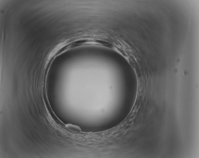 X0000083620003200702201328