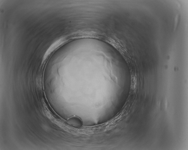 X0000083620004200702201328