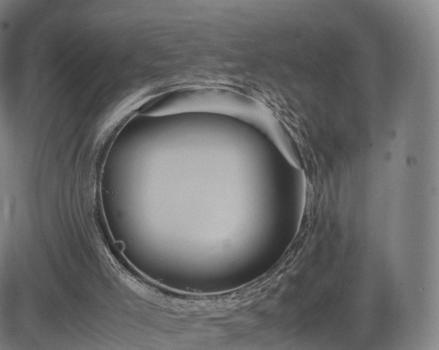 X0000083620005200702201328