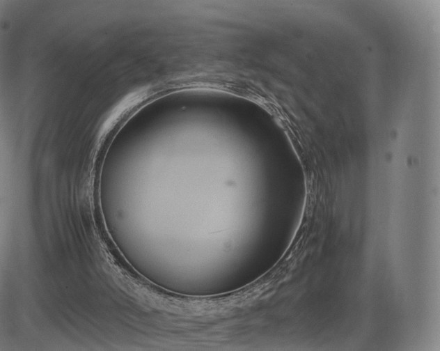 X0000083620006200702201328