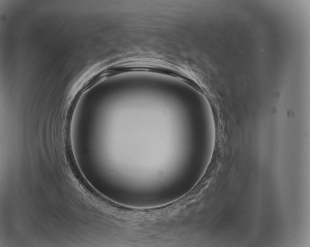 X0000083620007200702201328