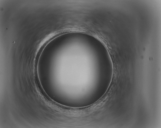 X0000083620008200702201328