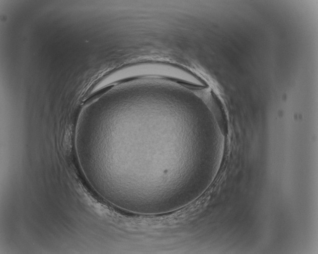 X0000083620009200702201328