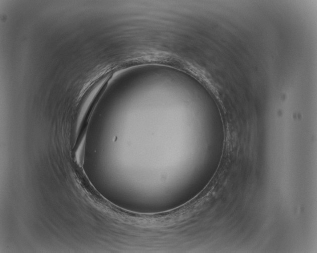 X0000083620010200702201328