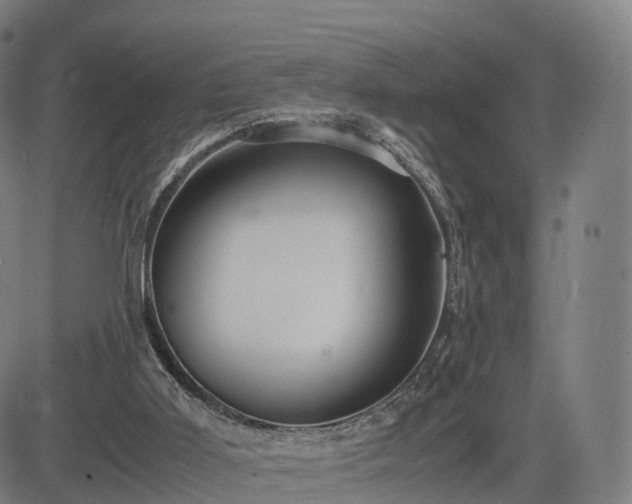 X0000083620011200702201328