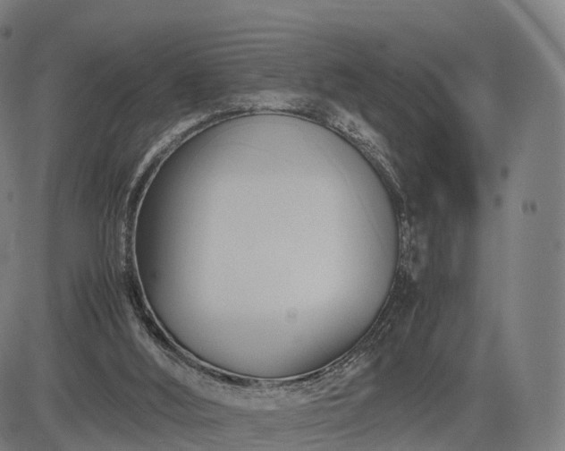 X0000083620012200702201328