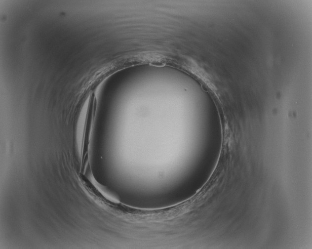 X0000083620013200702201328