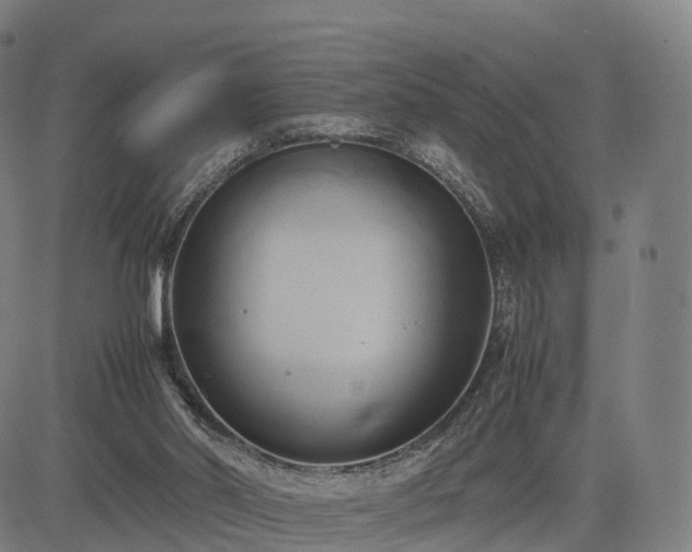 X0000083620014200702201328