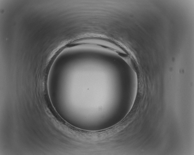 X0000083620015200702201328