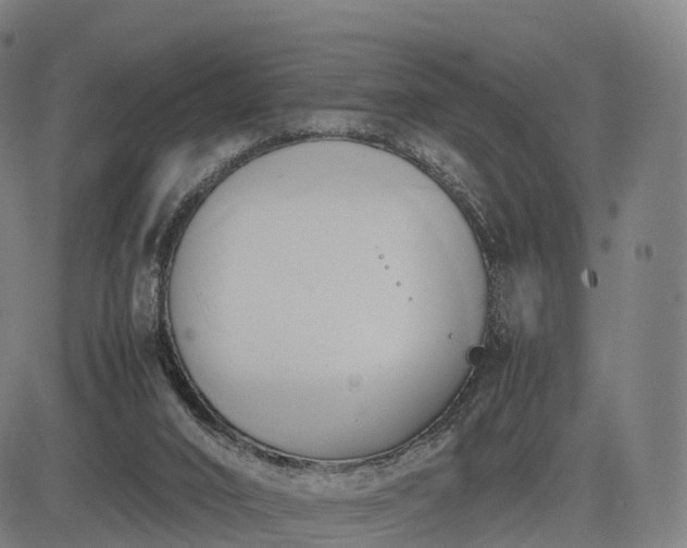 X0000083620016200702201328