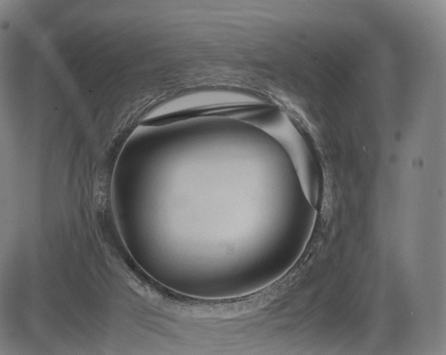 X0000083620017200702201328