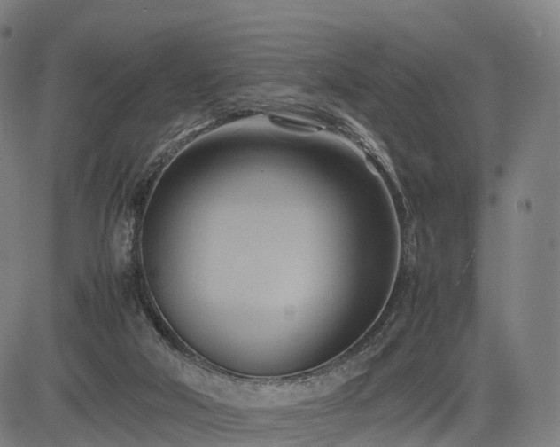 X0000083620018200702201328