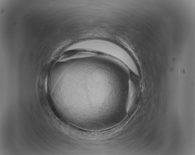 X0000083620019200702201328