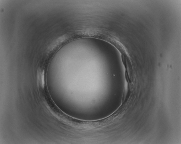 X0000083620020200702201328