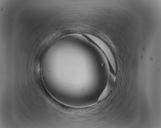 X0000083620021200702201328