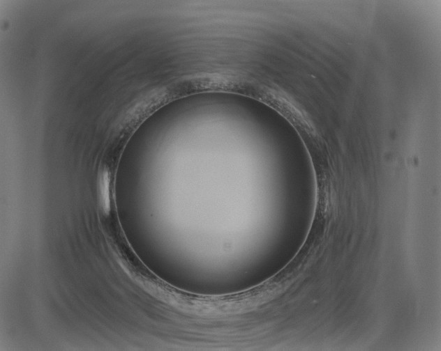 X0000083620022200702201328