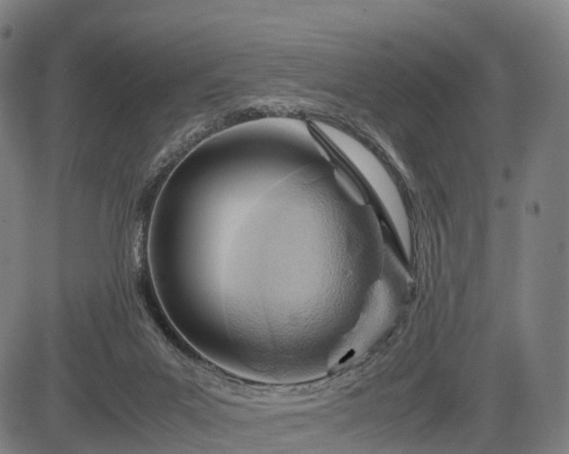 X0000083620023200702201328