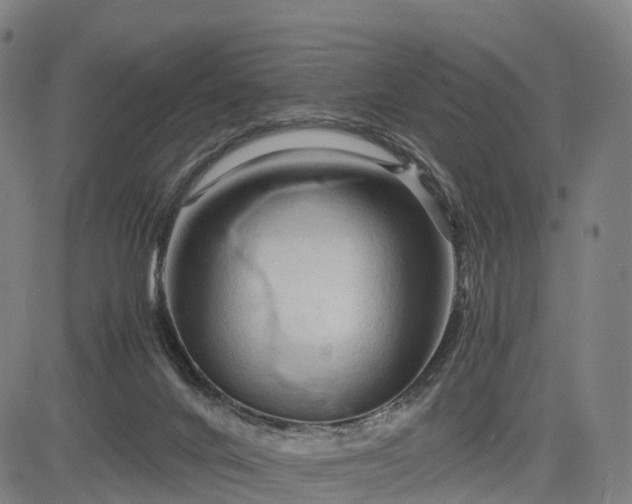 X0000083620024200702201328