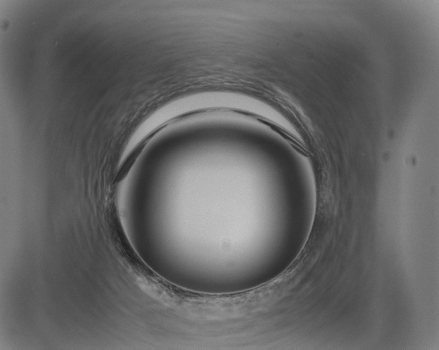 X0000083620025200702201328