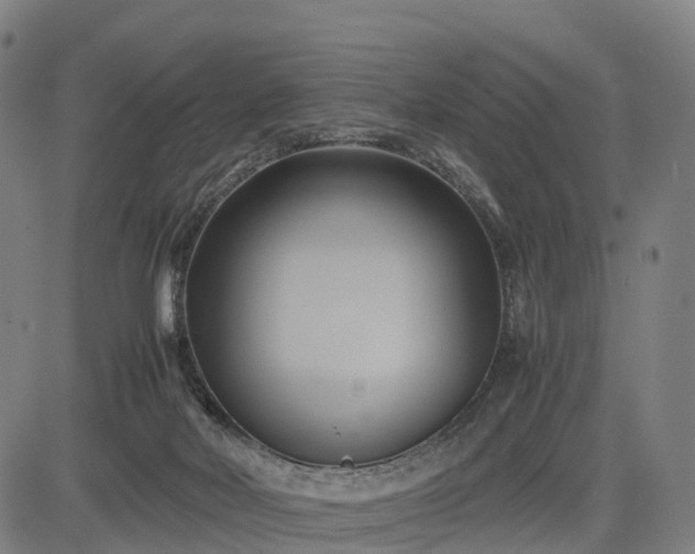 X0000083620026200702201328