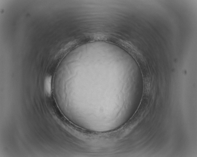 X0000083620028200702201327