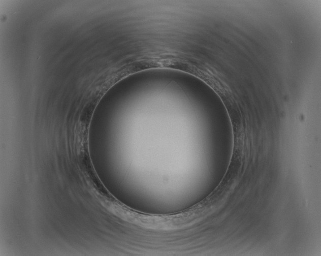 X0000083620030200702201327