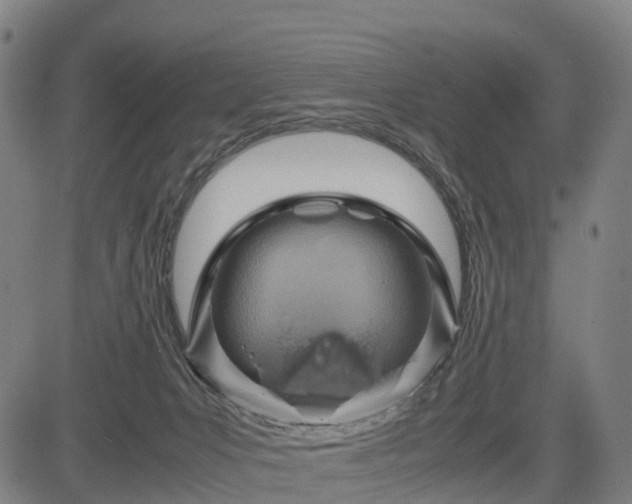 X0000083620031200702201327