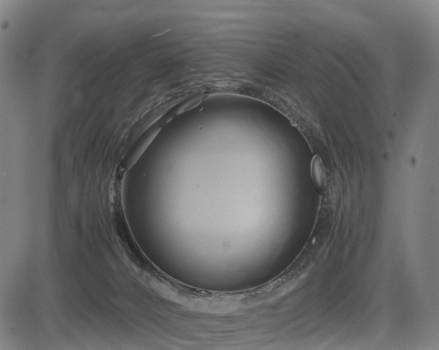 X0000083620032200702201327