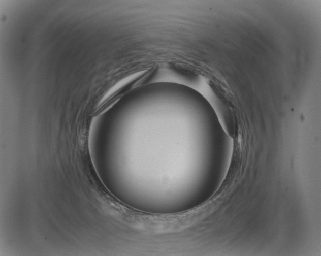 X0000083620033200702201327