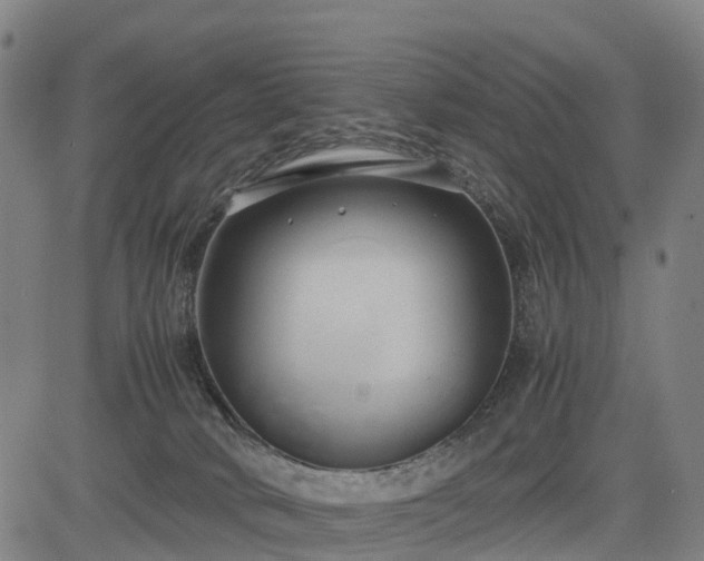 X0000083620034200702201327