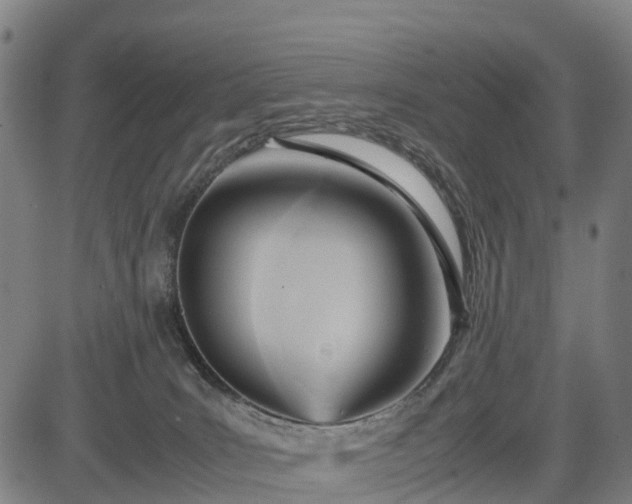 X0000083620035200702201327