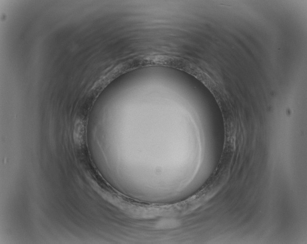 X0000083620036200702201327