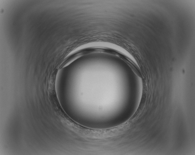 X0000083620037200702201327