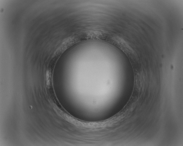 X0000083620038200702201327