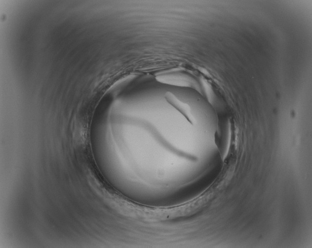 X0000083620039200702201327