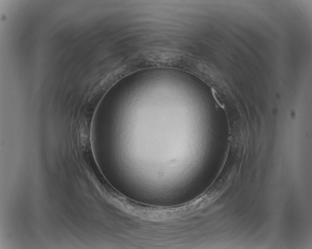 X0000083620040200702201327