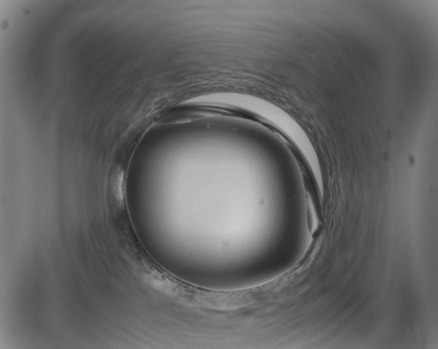 X0000083620041200702201327